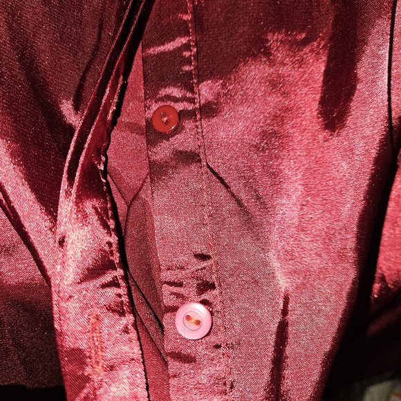 Lucca Wildfang Satin Shirt Button Up Long Sleeve Blouse Maroon Red Silky Small - Picture 12 of 16